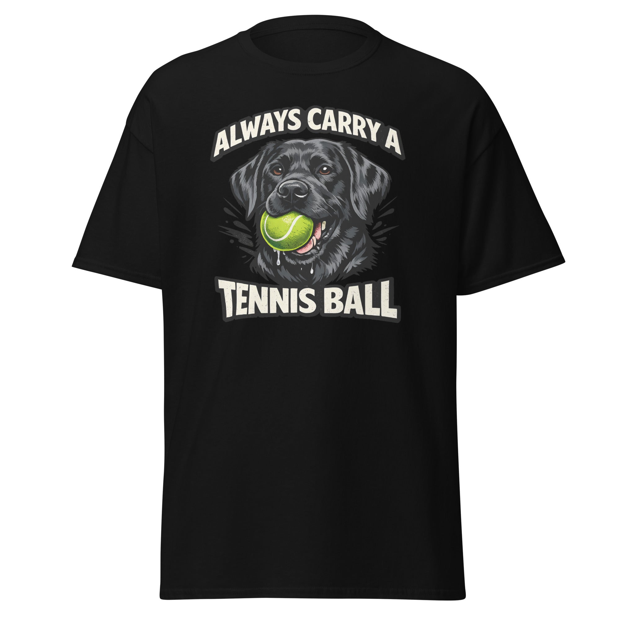Labrador - Tennis ball