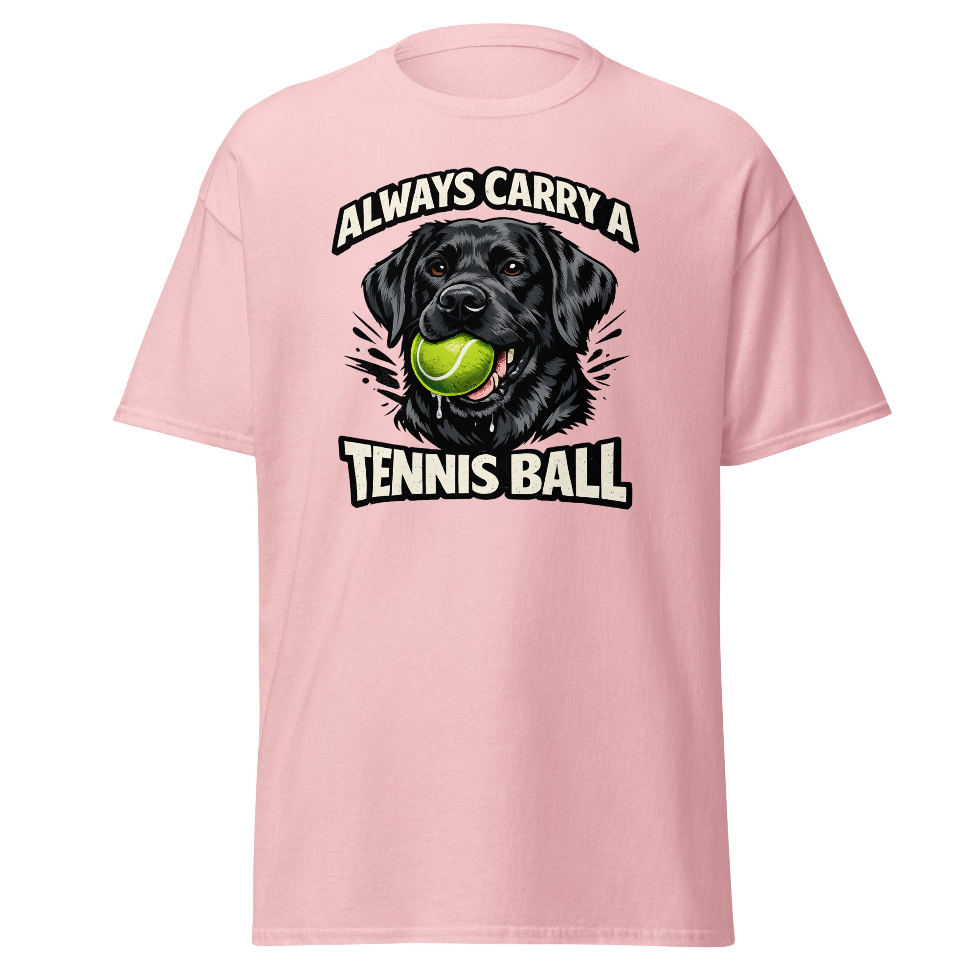 Labrador - Tennis ball