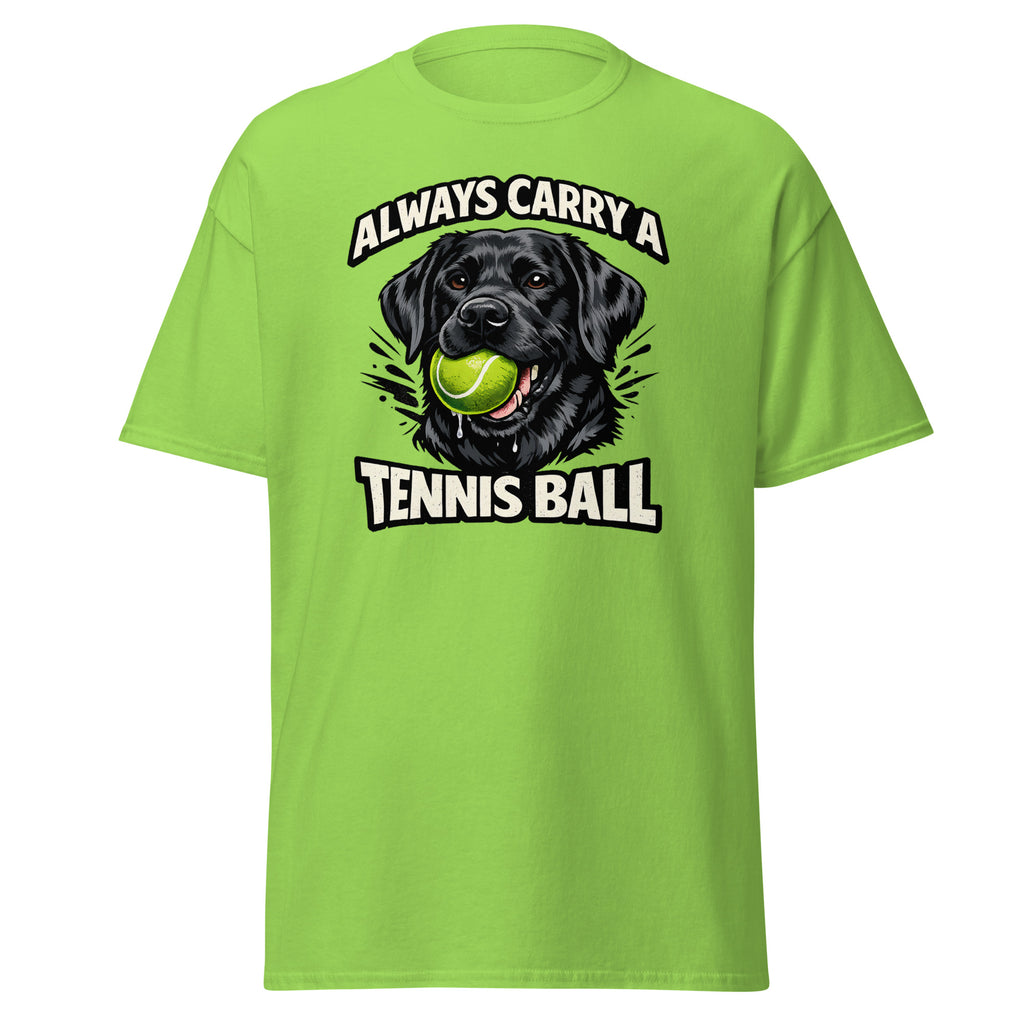 Labrador - Tennis ball