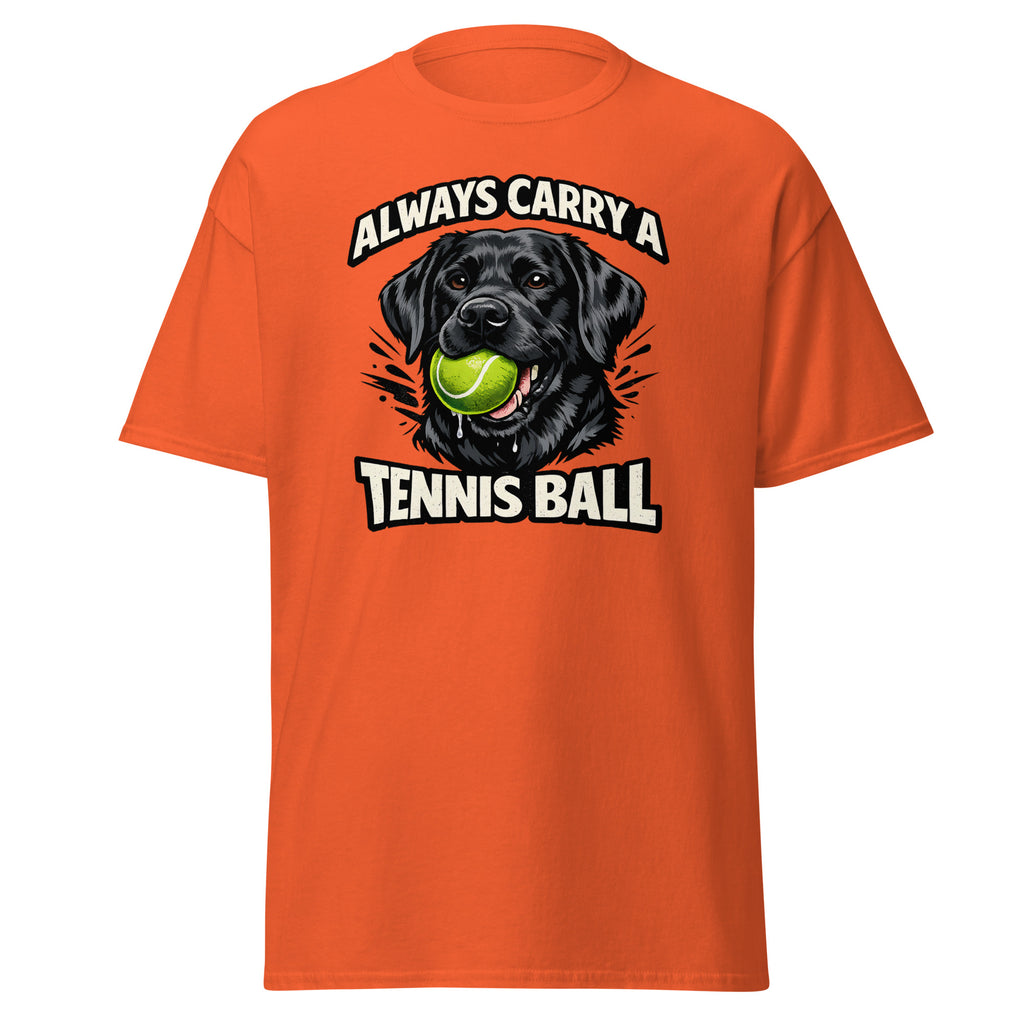 Labrador - Tennis ball