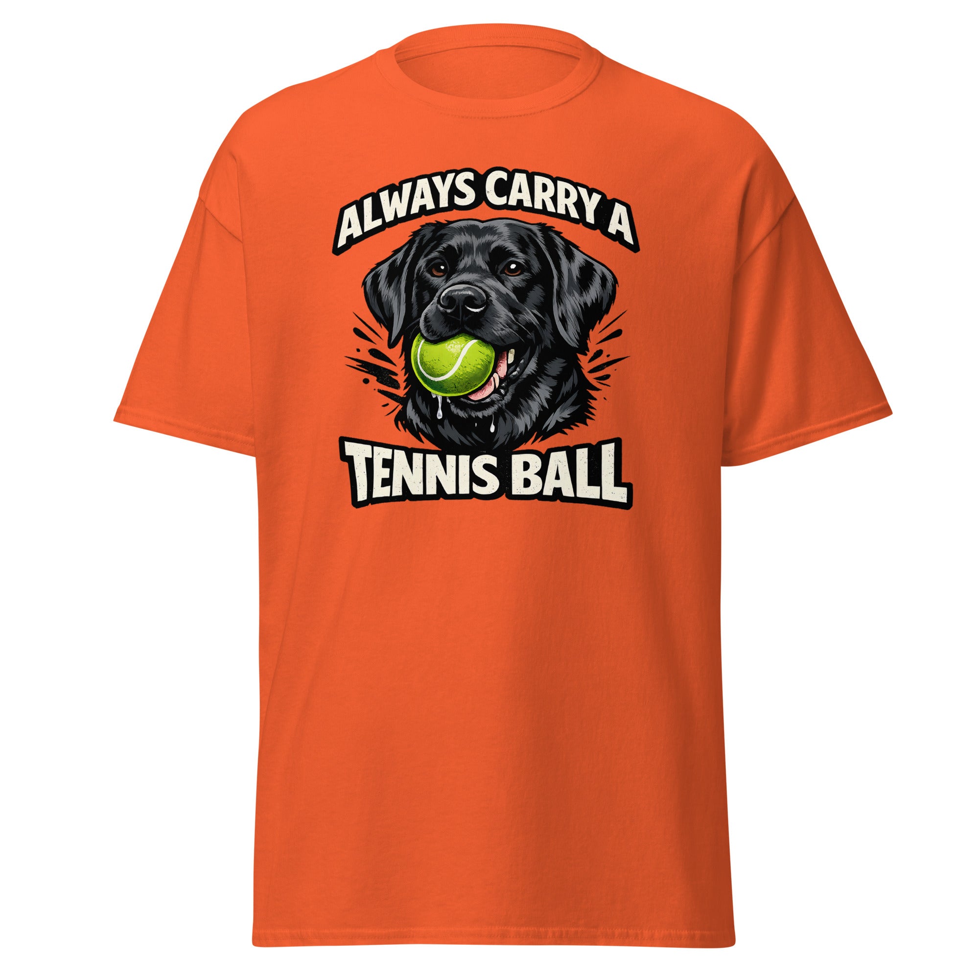 Labrador - Tennis ball