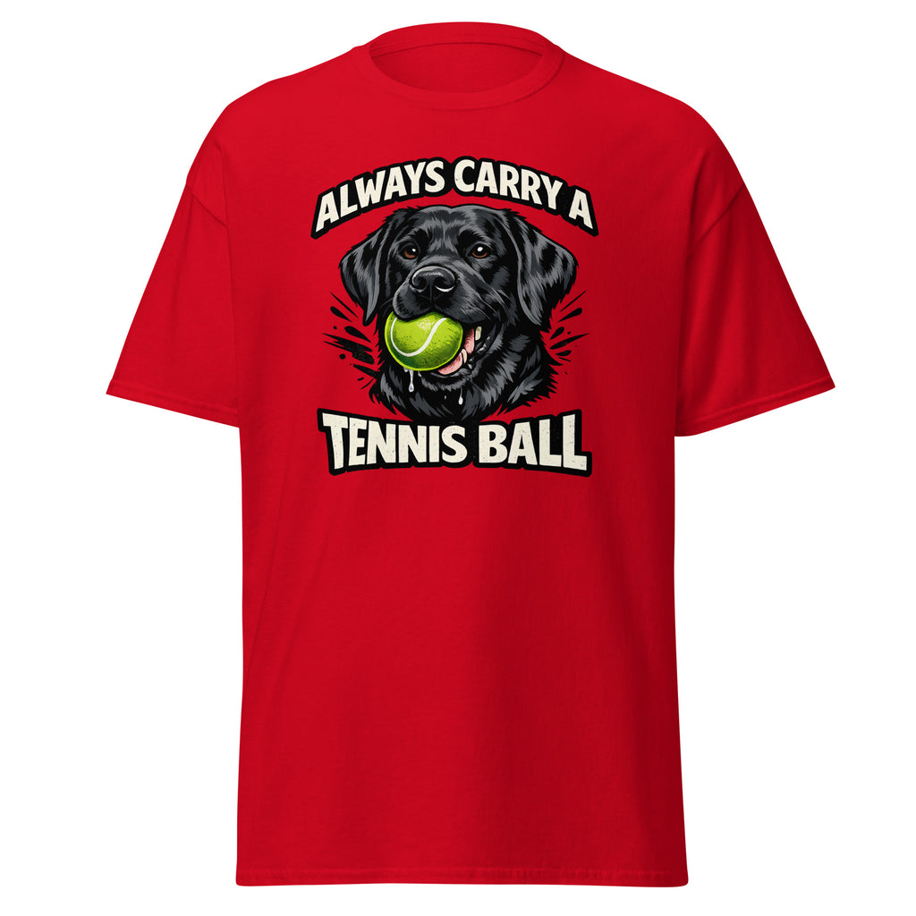 Labrador - Tennis ball