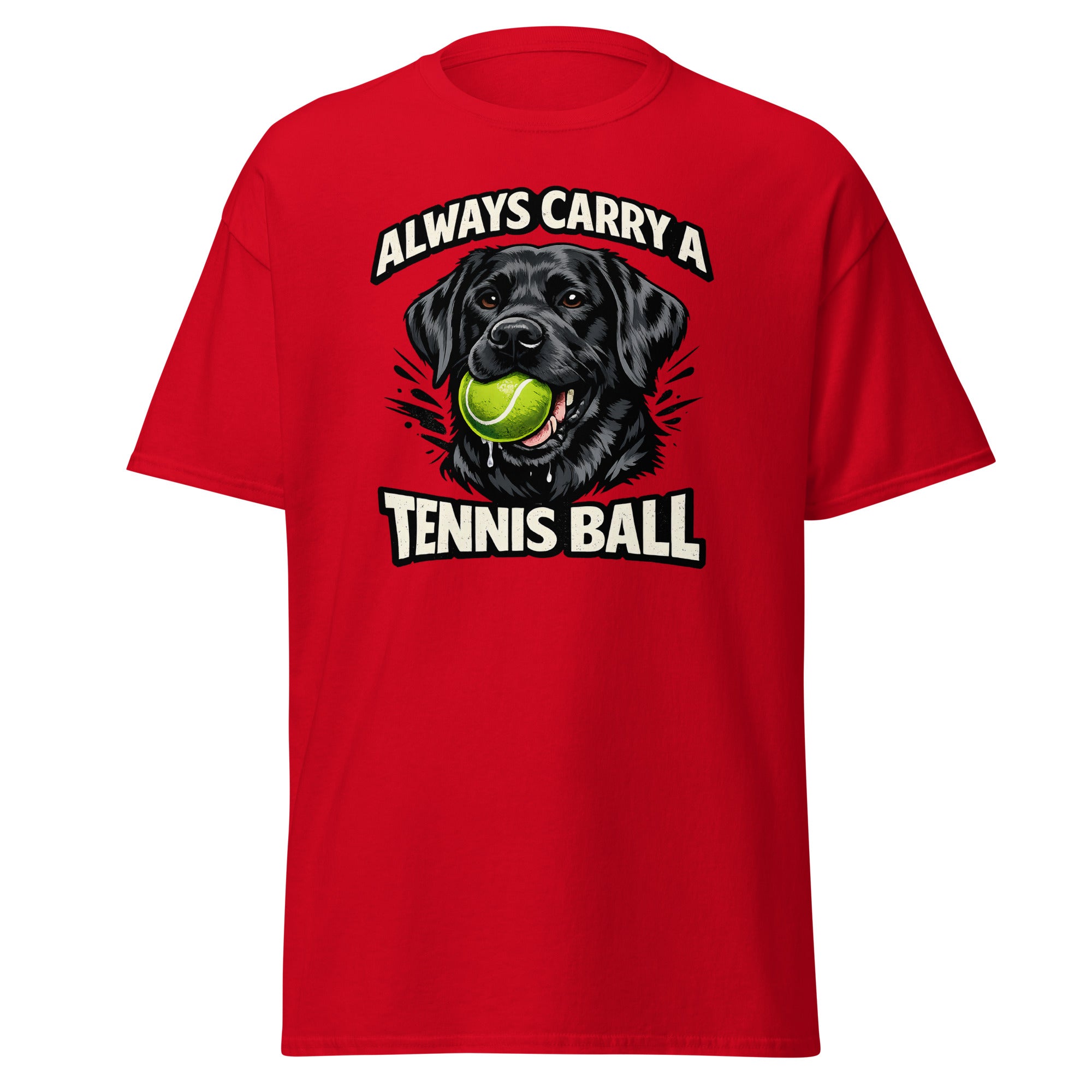 Labrador - Tennis ball