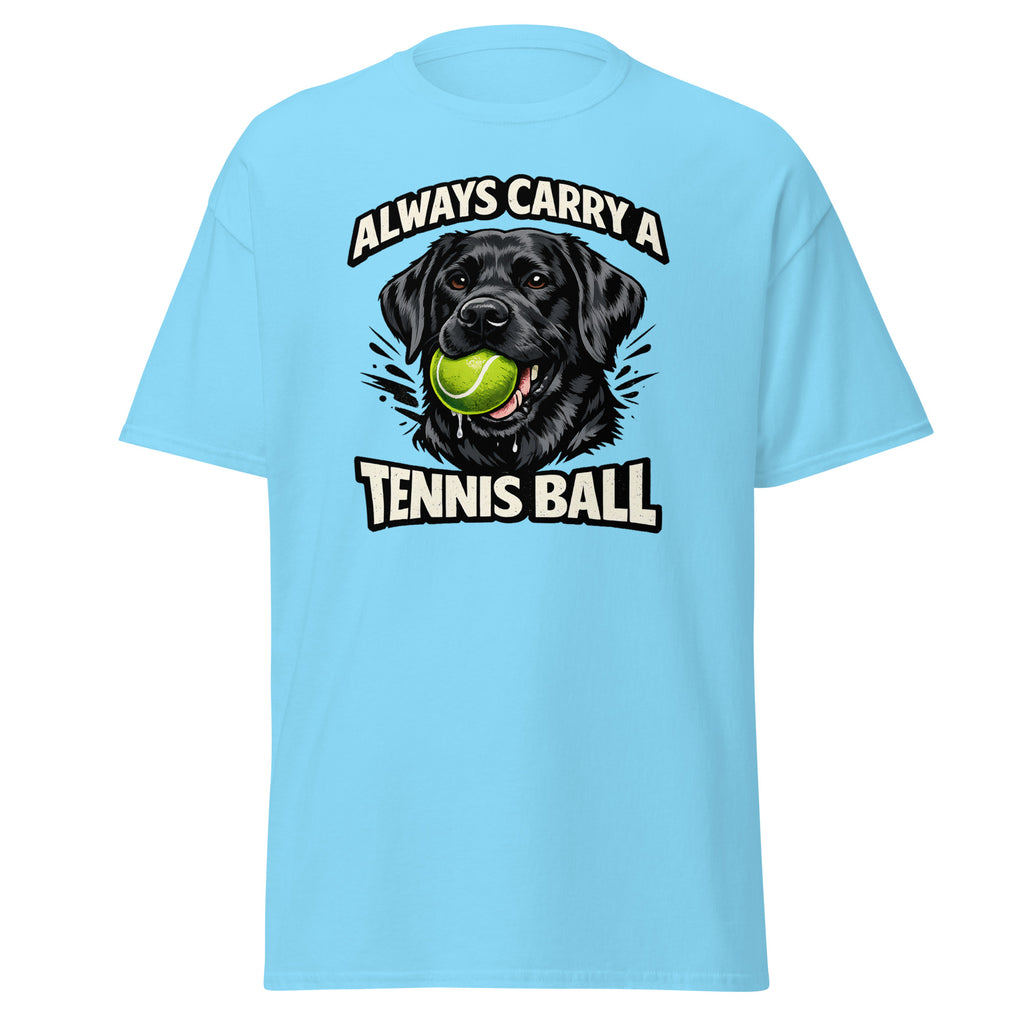 Labrador - Tennis ball