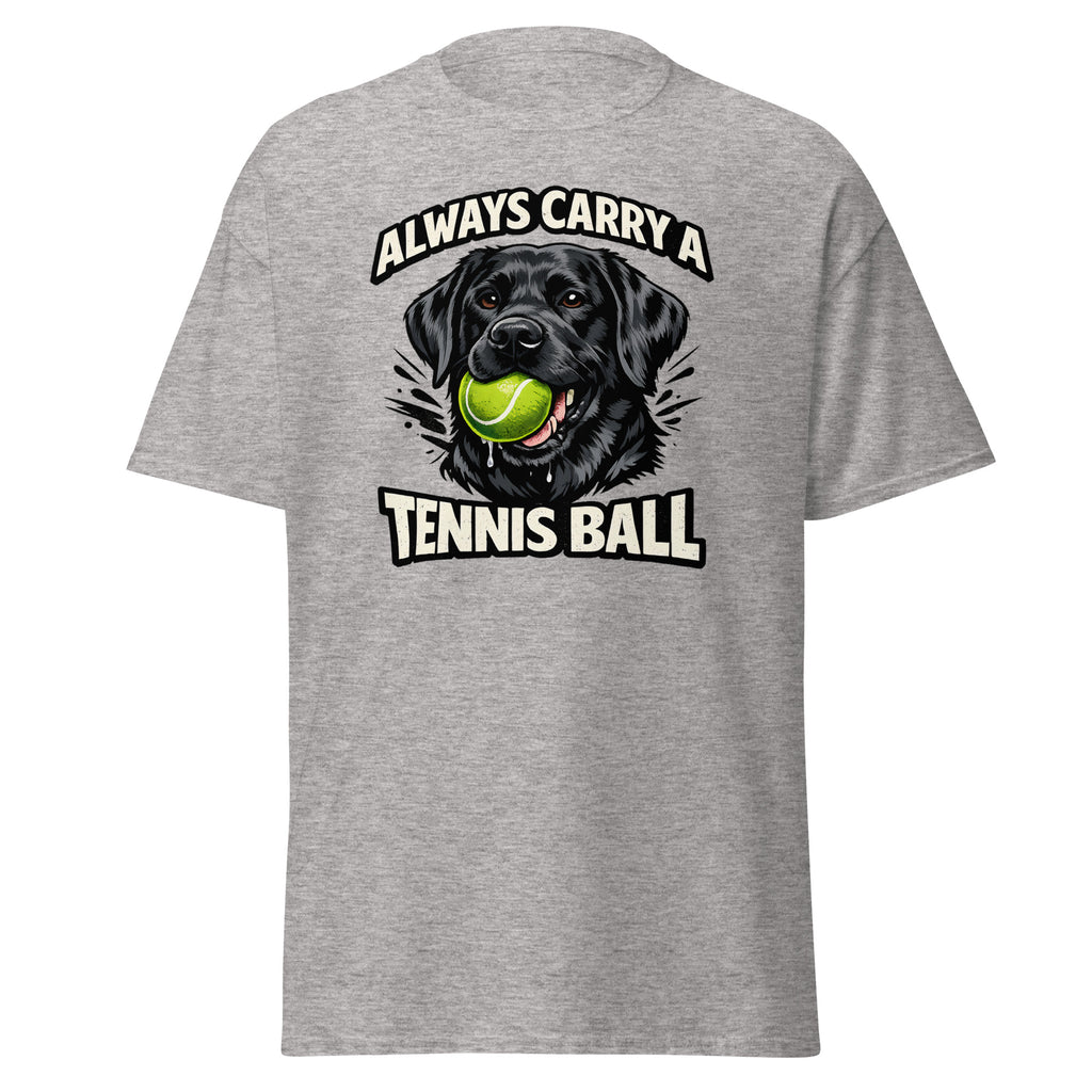 Labrador - Tennis ball