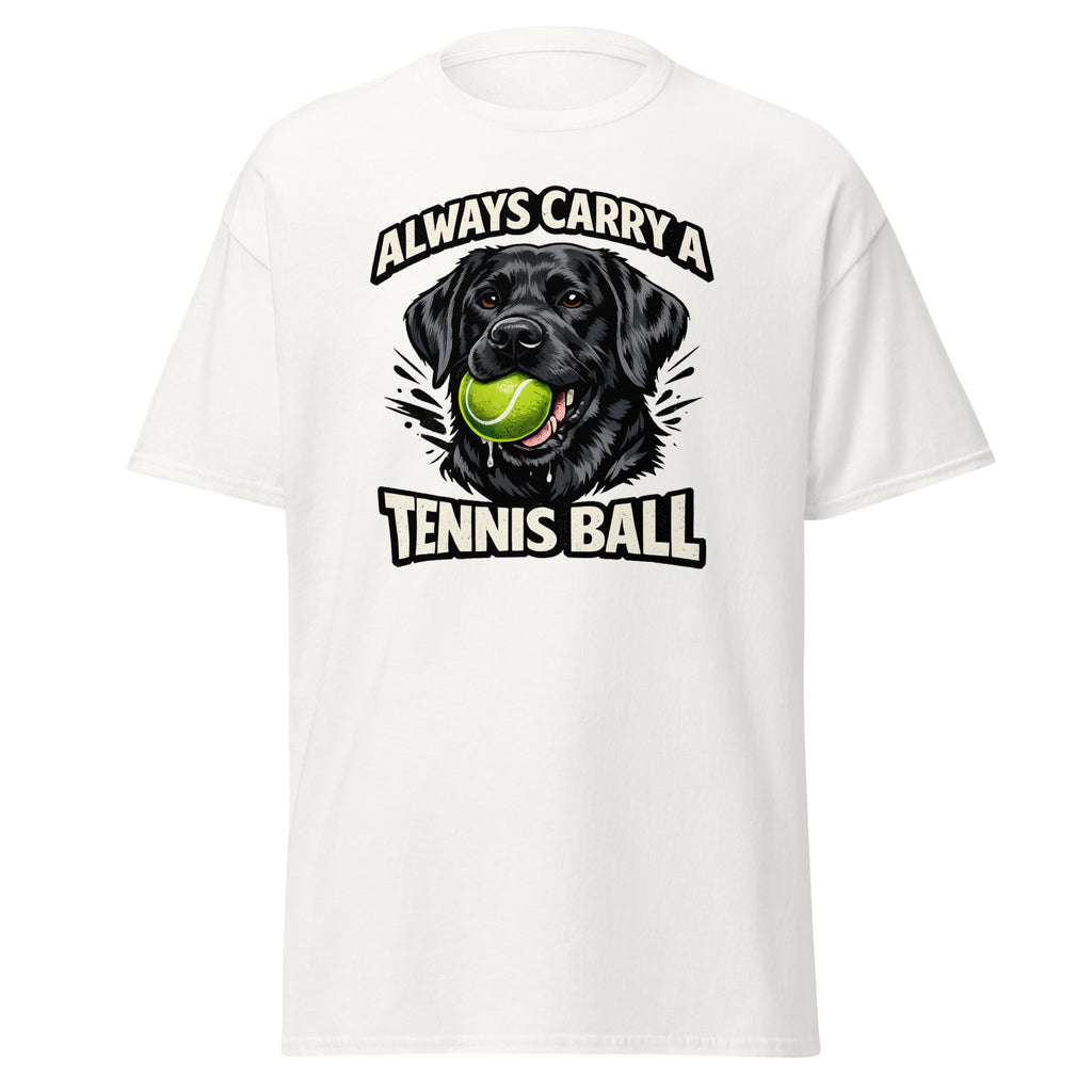 Labrador - Tennis ball