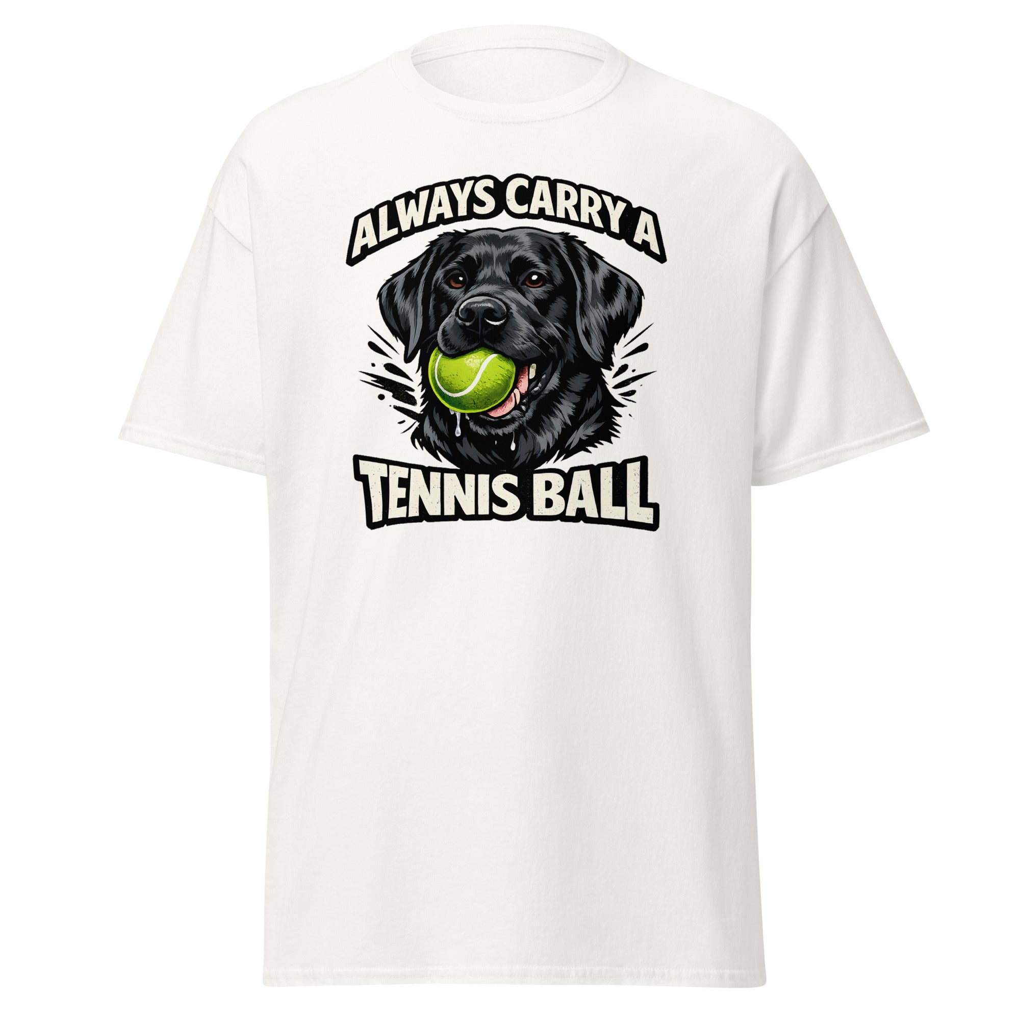 Labrador - Tennis ball