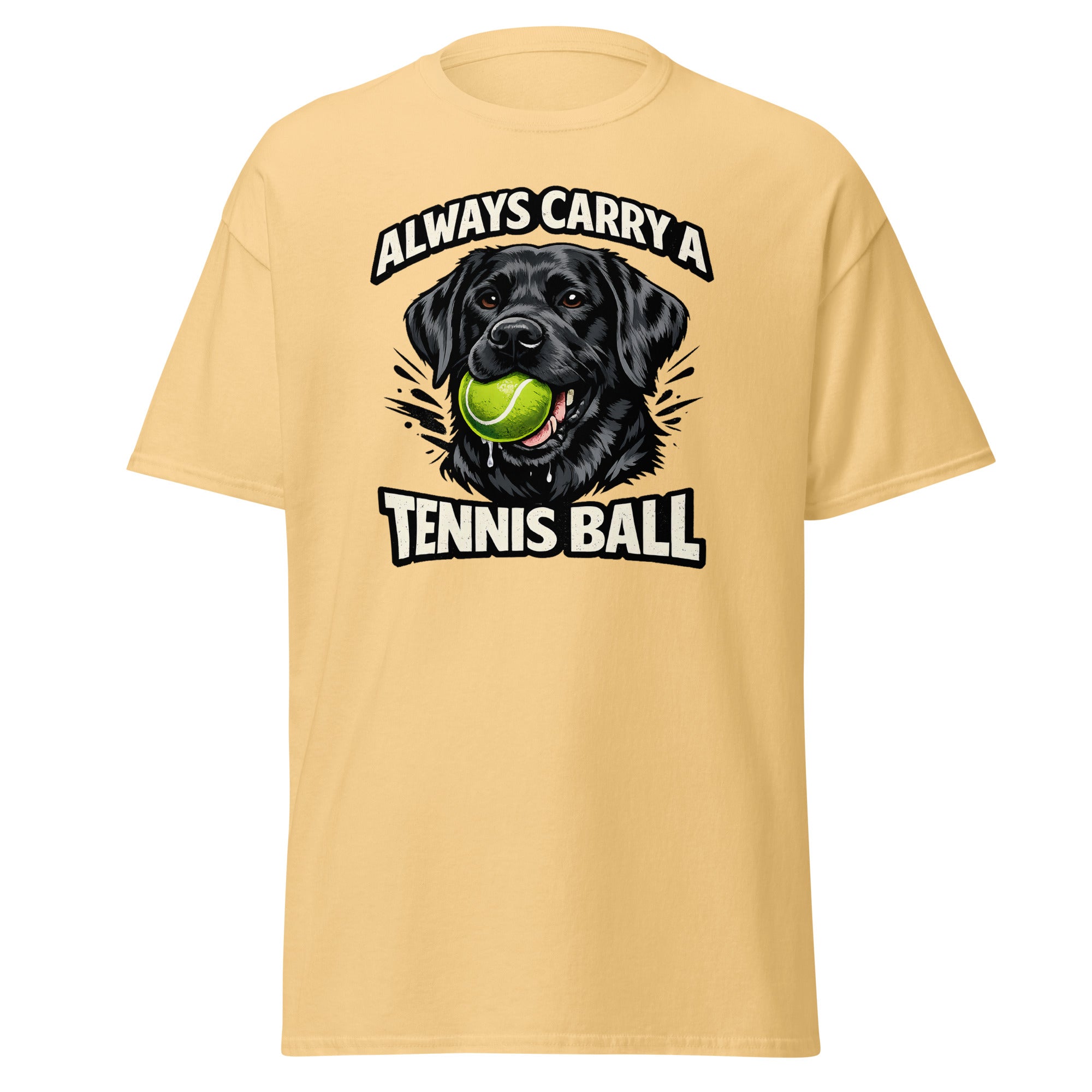 Labrador - Tennis ball