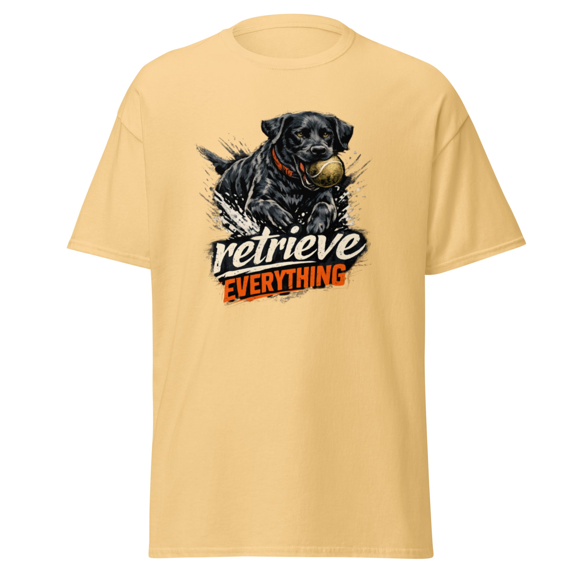Labrador - Retrieve everything